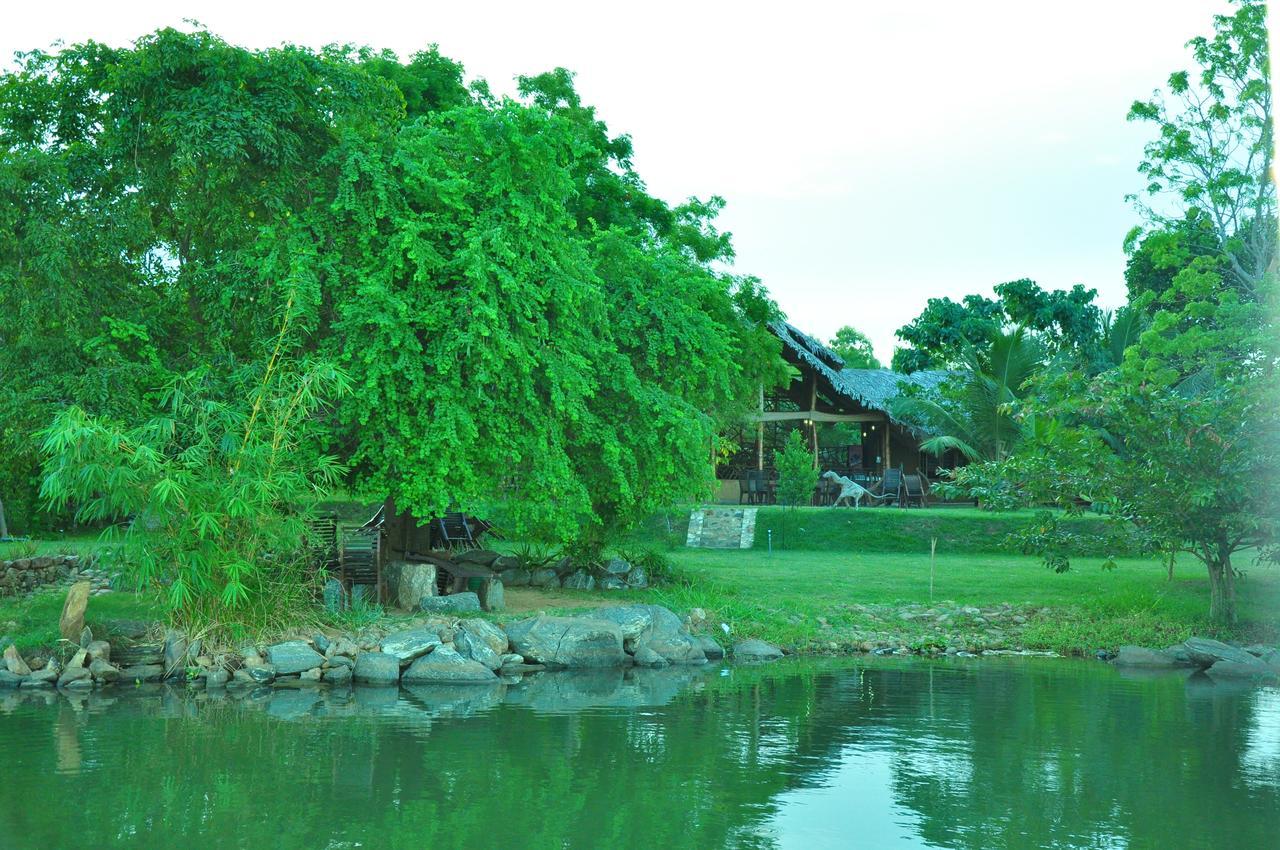 Hotel Thuduwa Camp Embilipitiya Esterno foto